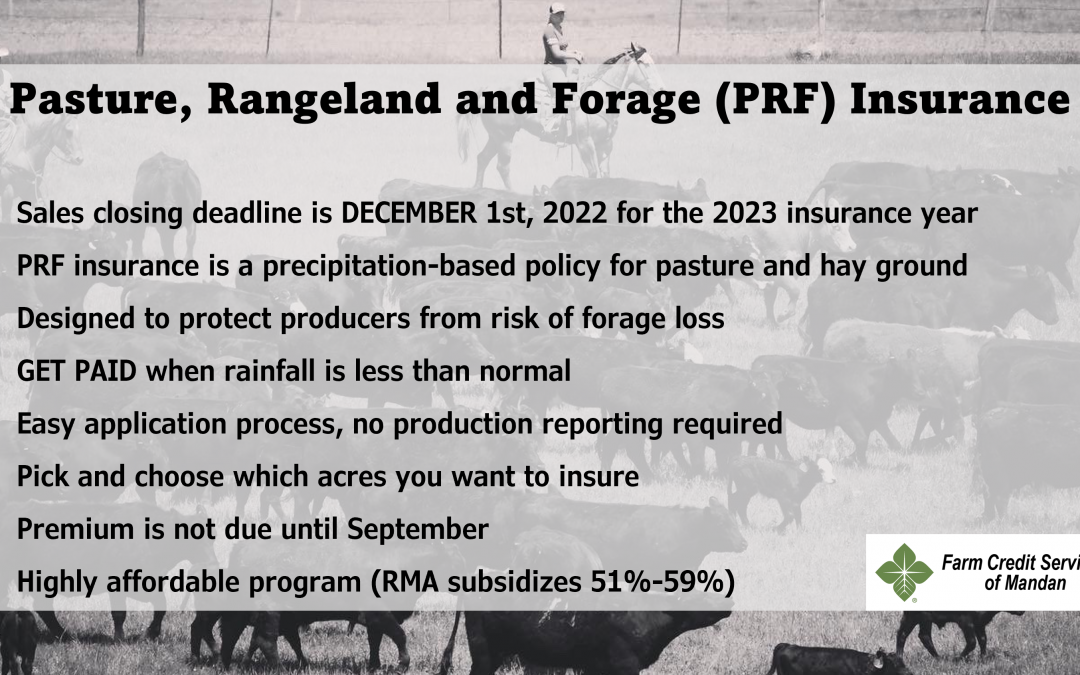 PRF Deadline is December 1st